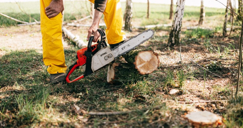 Brad Chapman Professional Tree Services