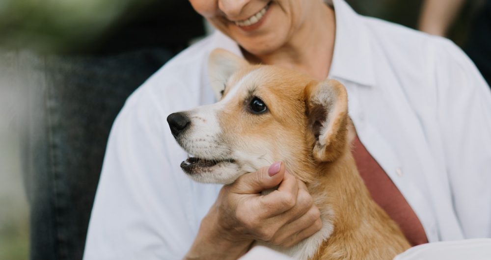 Peggys Promise Rescue Central Coast