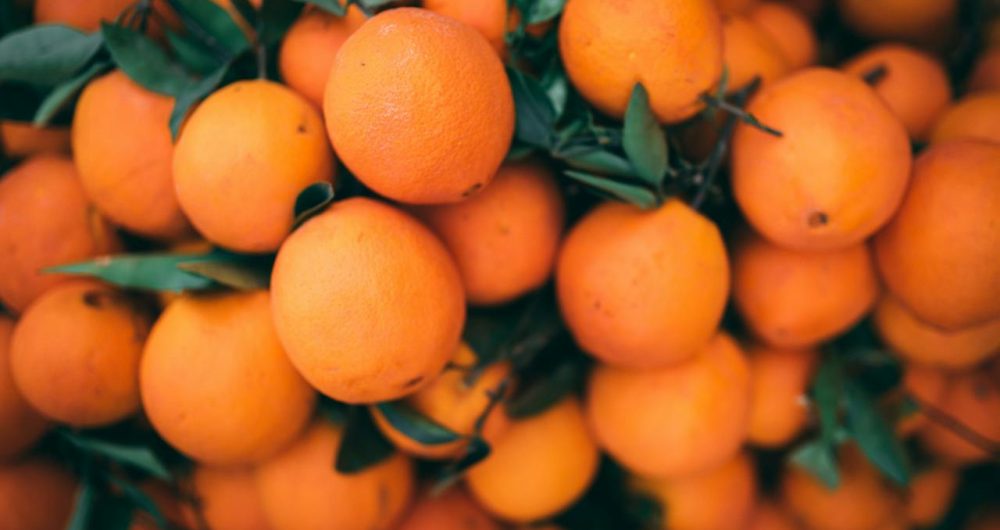 Pick Your Own Oranges Dooralong