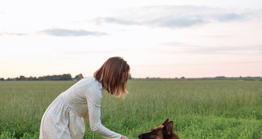 Dog Education Seminars