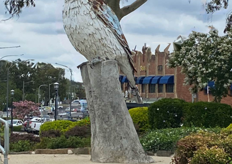 Giant Kookaburra Kurri Kurri