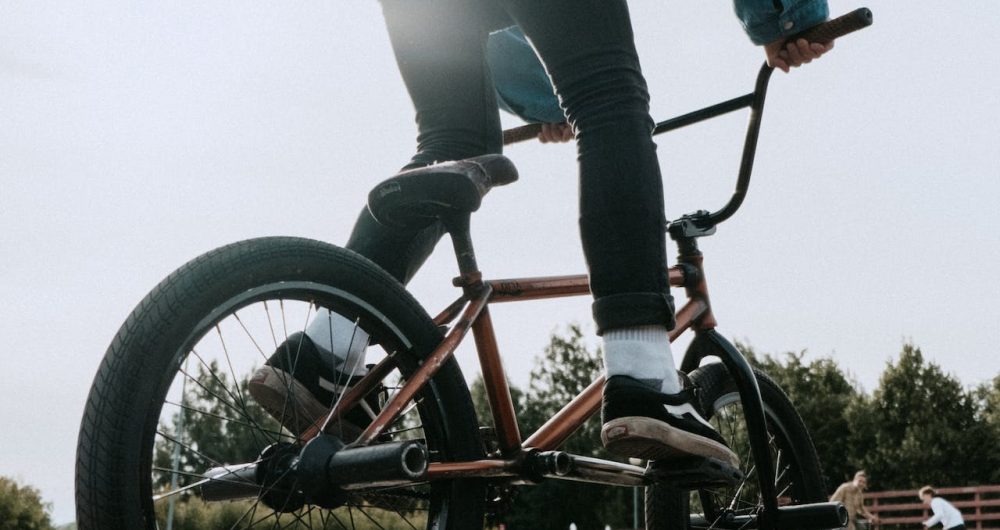 Dungog Common Pump Track