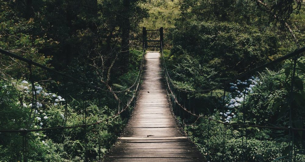 Strickland State Forest