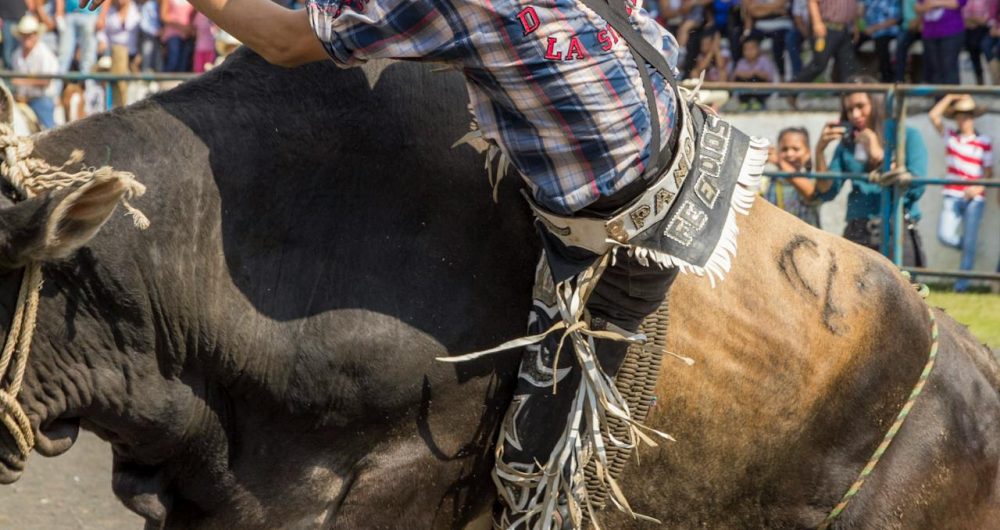 Stroud Rodeo and Campdraft