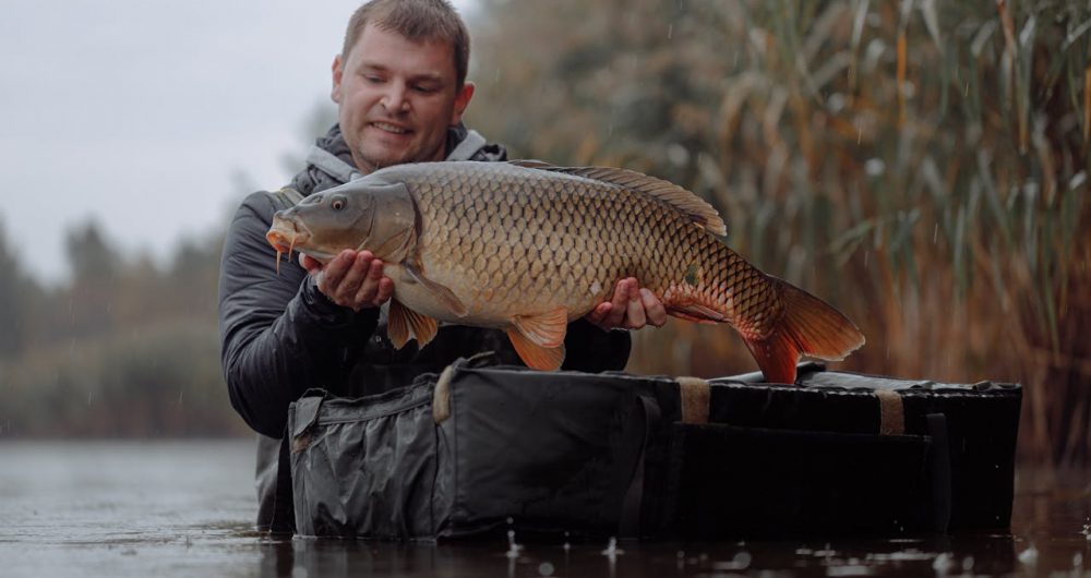 Lake Glenbawn Family Carp Muster